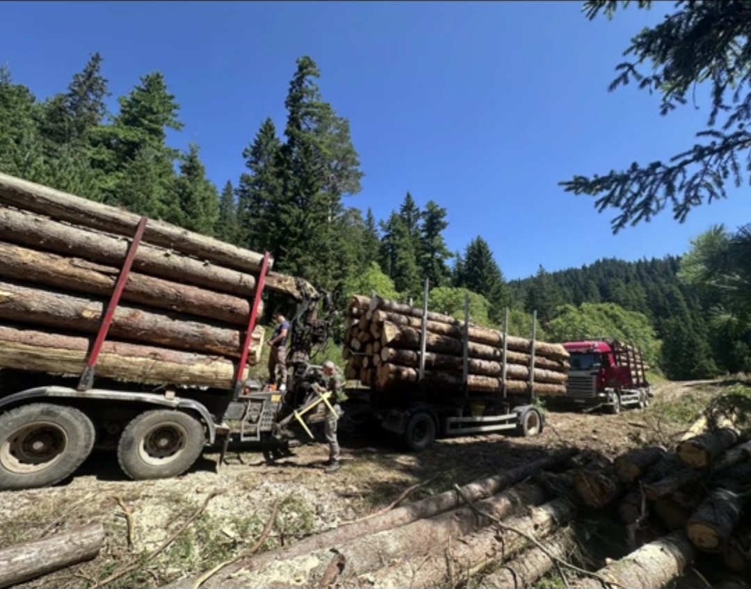 Utovar i transport trupaca